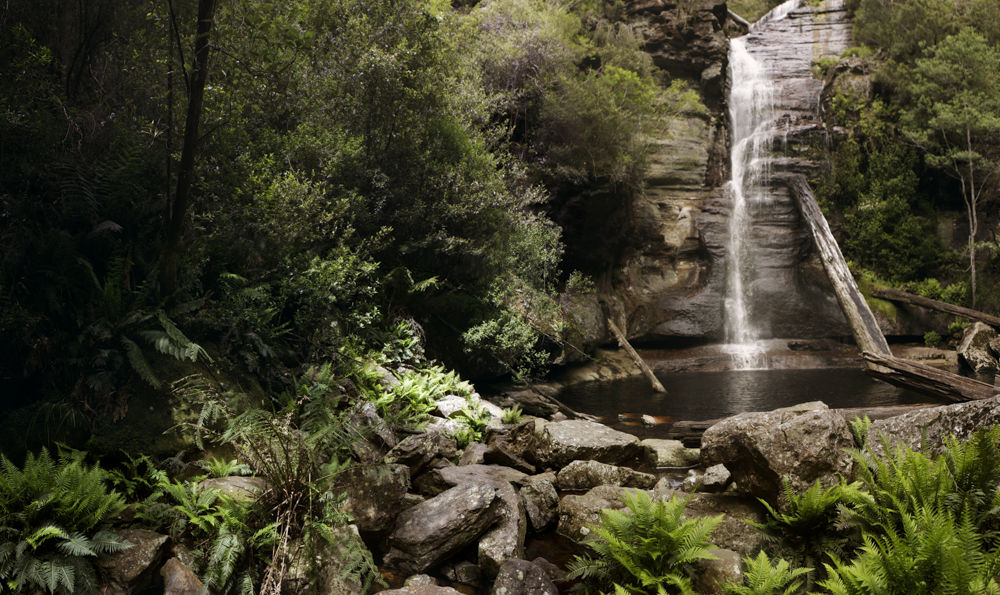 TasTrails Snug Falls