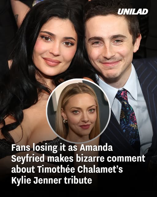 Fans losing it as Amanda Seyfried makes bizarre comment about Timothée