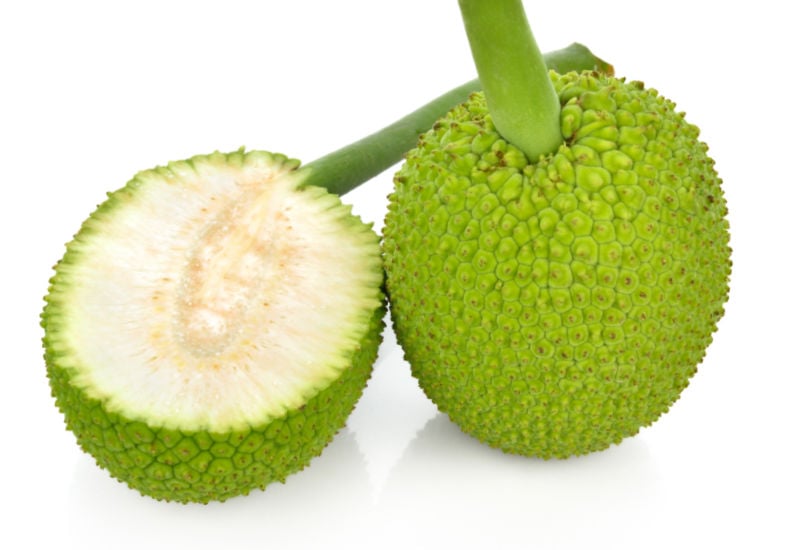 What Does Breadfruit Taste Like?