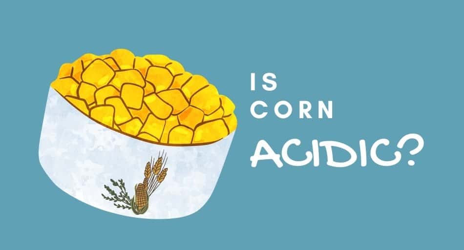 Is Corn Acidic? Tastylicious
