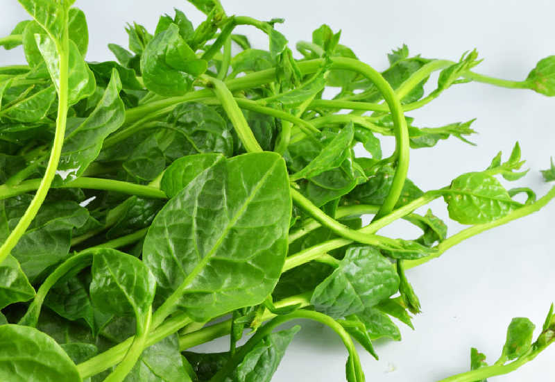 What Does Malabar Spinach Taste Like?