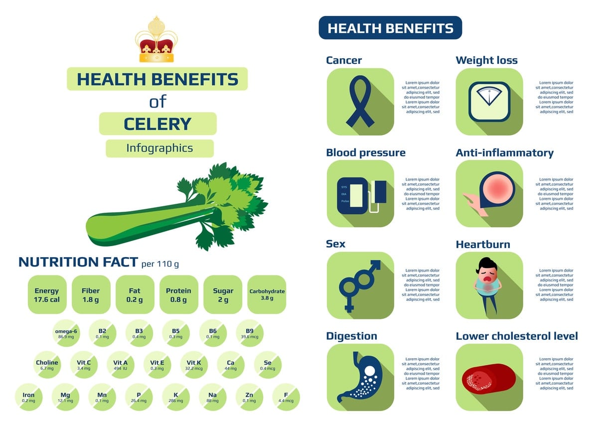 Celery Everything You Need to Know About Celery, Good and Bad