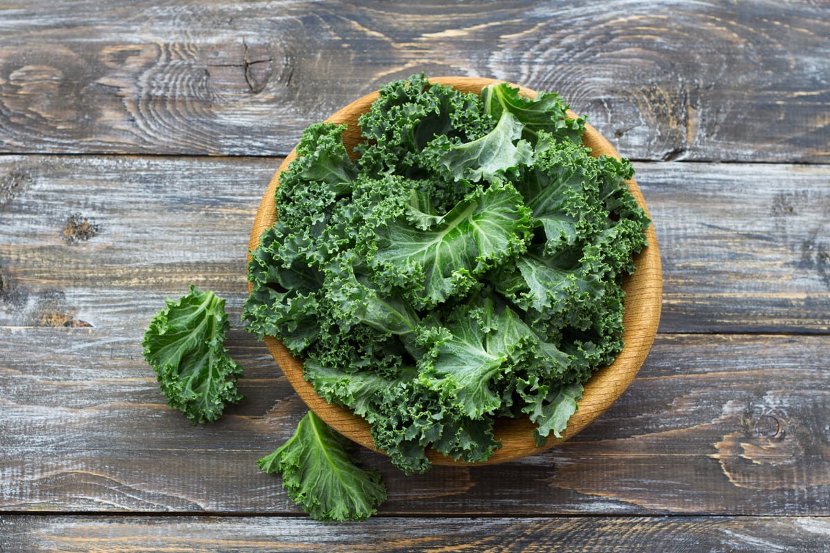 Everything You Need To Know About Kale, The Nutritious Leafy Green
