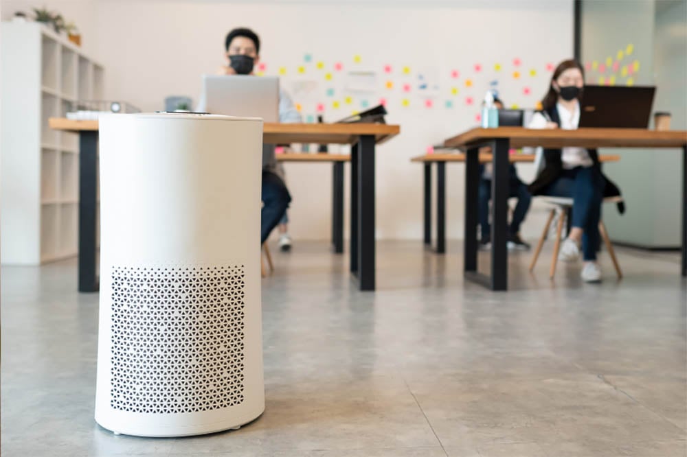 The ValueforMoney 6 Best Levoit Air Purifiers Right Now Tastylicious