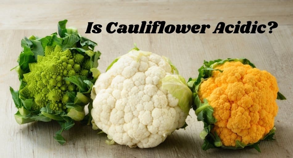 Is Cauliflower Fattening? (Surprising Facts) Tastylicious
