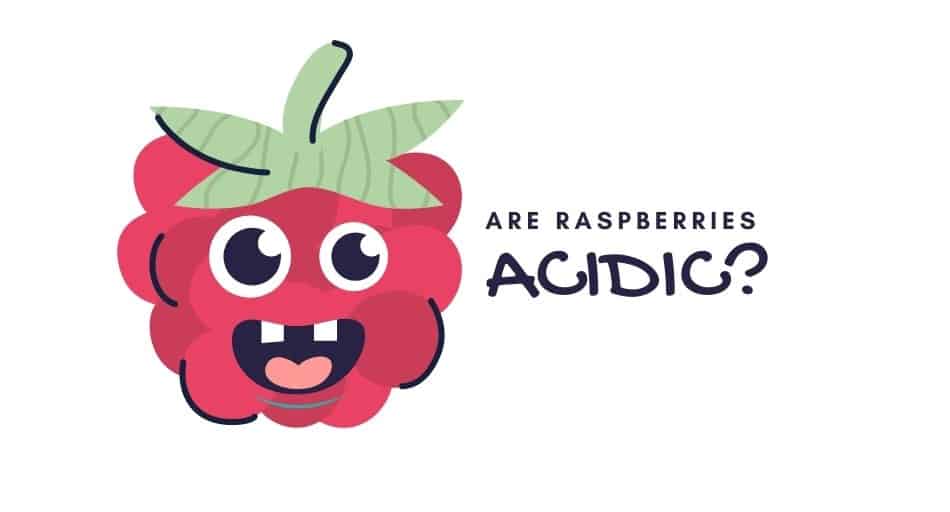 Are Raspberries Acidic? (Health Benefits) Tastylicious