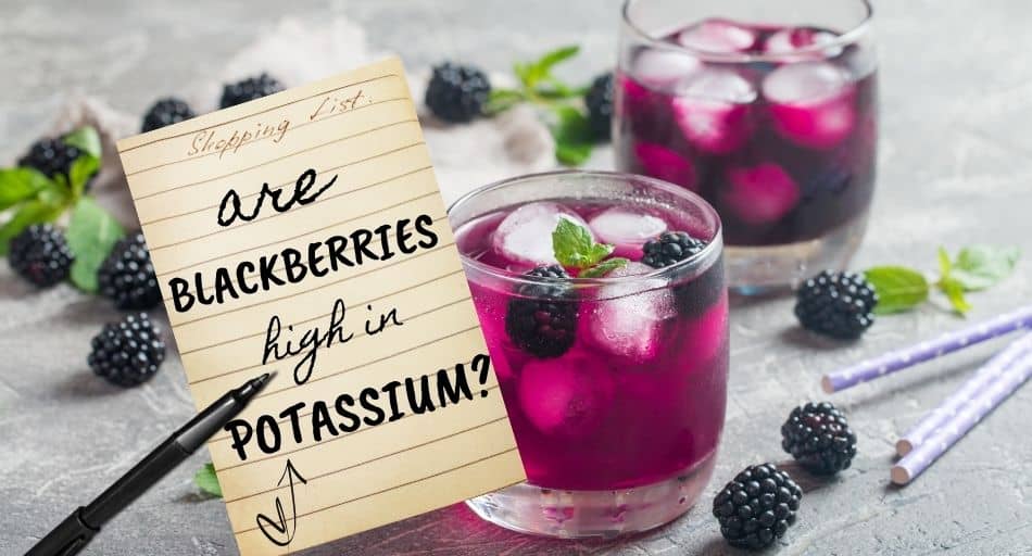 Are Blackberries Acidic? (Should You Eat Them?) Tastylicious