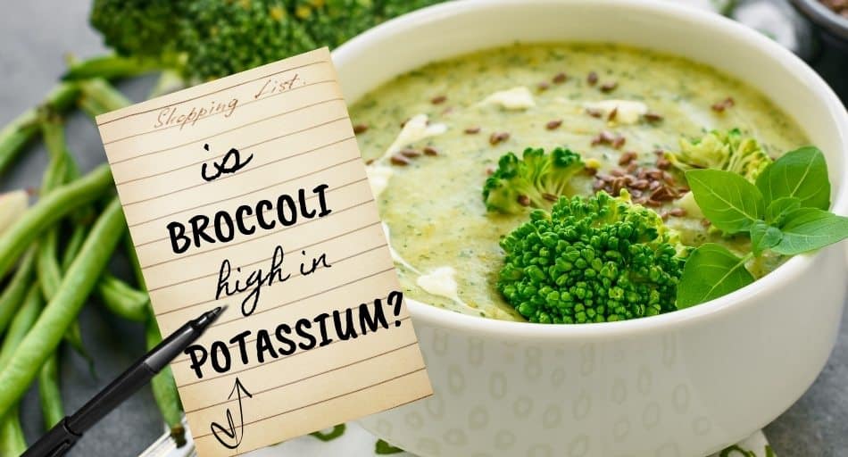 Is Broccoli High In Potassium? Tastylicious