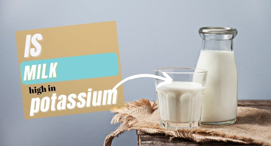 Is Milk High In Potassium? (Definitive Answer) Tastylicious