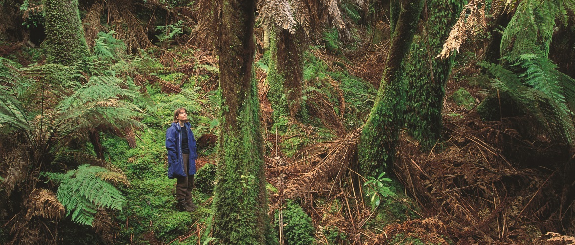 Tasmanian Midlands Guide TasVillas Group