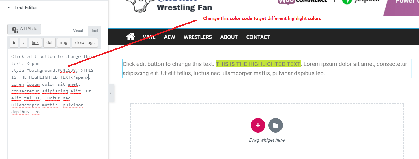How Highlight Text in Elementor WordPress Tasvir  Solutions