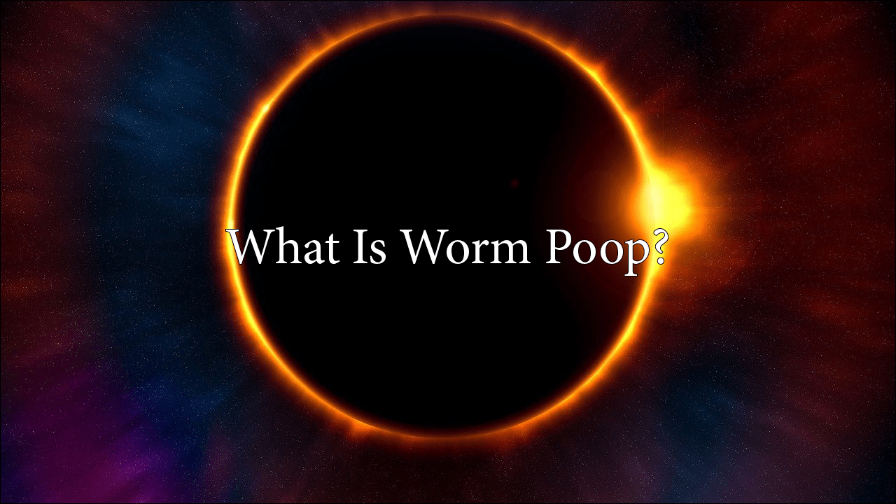 What Is Worm Poop? Tater Junction