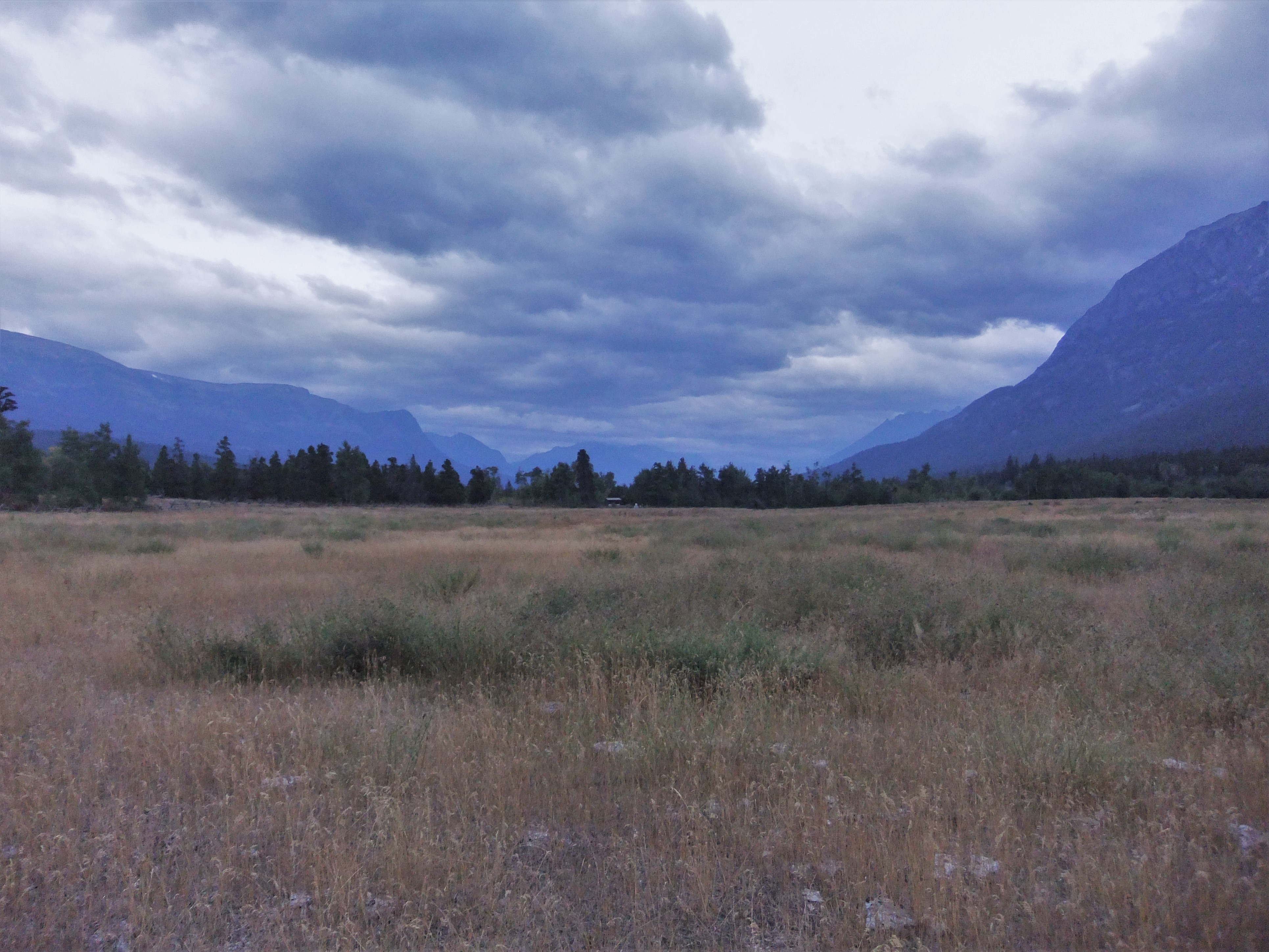 Sept 23 Clouds That Lour’d Above Our House Tatlayoko Lake Bird