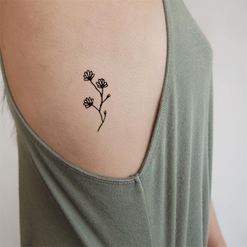 Gerbera Daisy | Tatooly 500_x_500_jpg