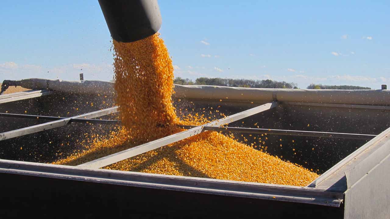 CornBased Ethanol Pollutes More Than Gasoline, Says Study Tatsat