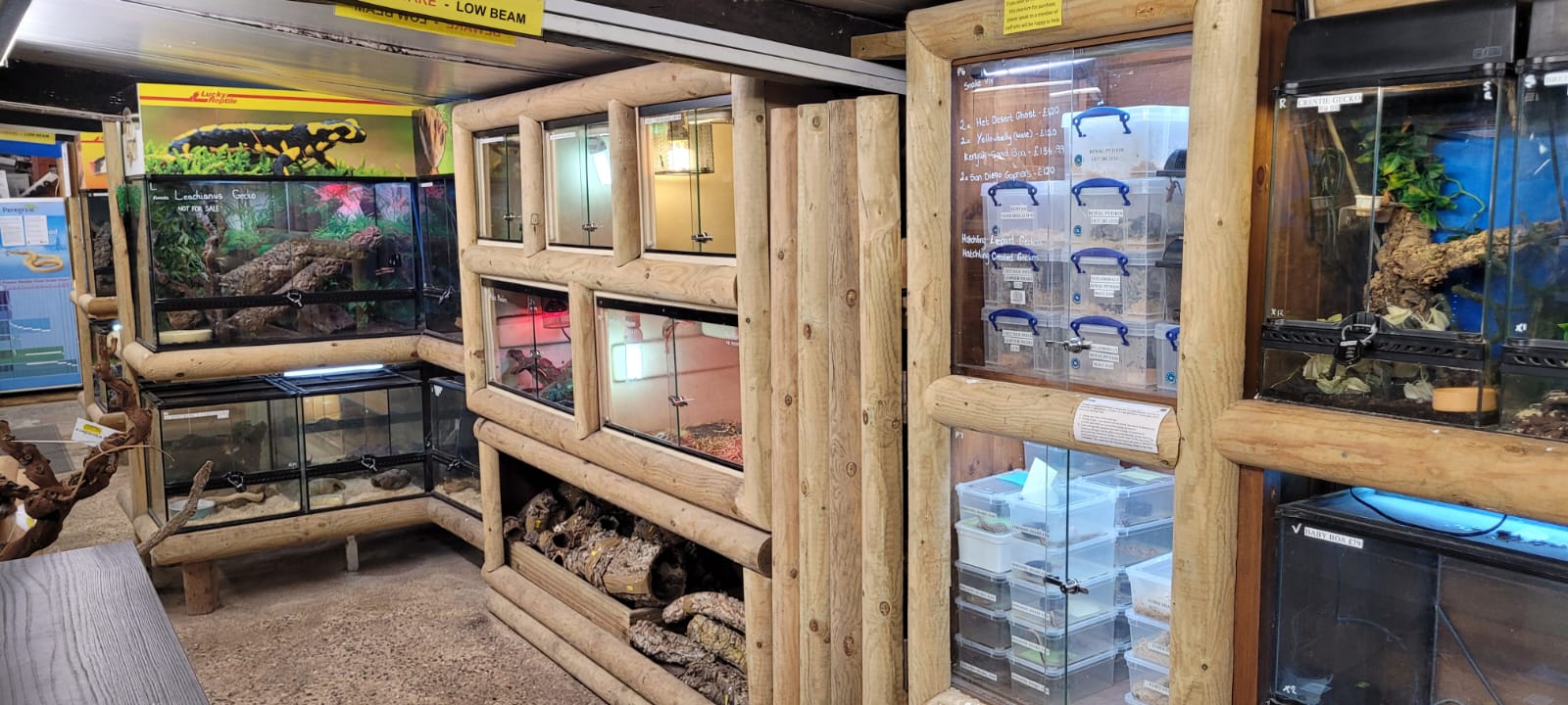 Reptiles Tatsfield Aquatics Ltd