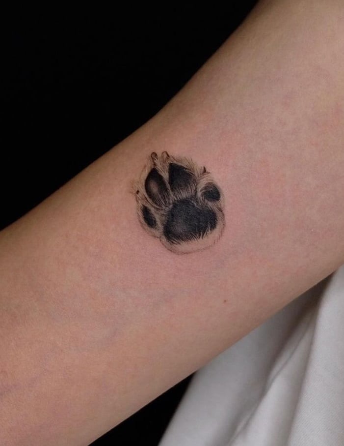 30+ Dog Paw Tattoos: How To Get A Dog Paw Tattoo 907_x_701_jpg