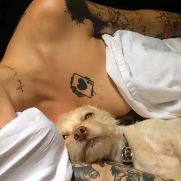 Stunning Ruby Rose Tattoos — All You Ever Wanted to Know