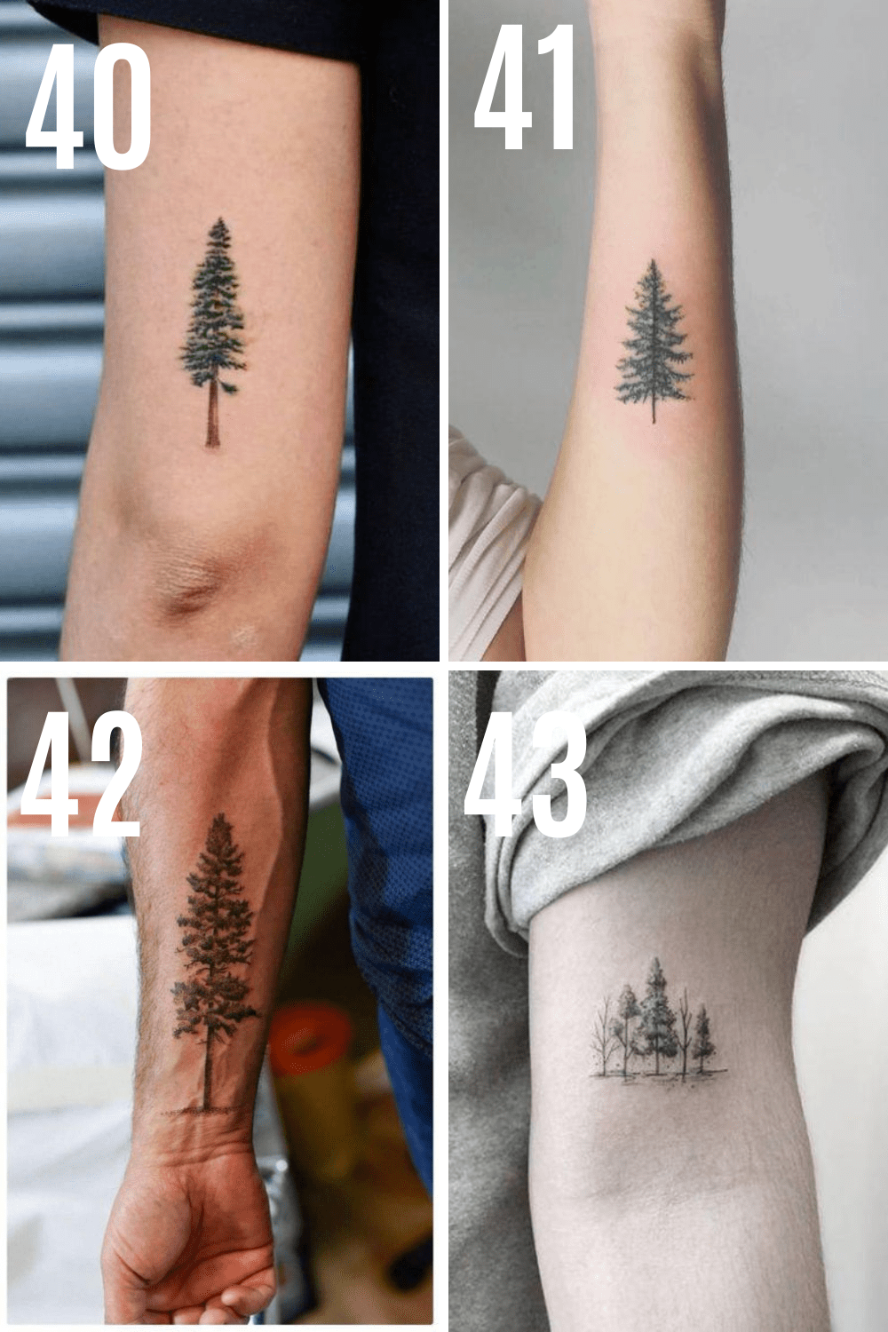 Meaningful Tree Tattoo Ideas Full Of Inspiration - Tattooglee 1500_x_1000_png