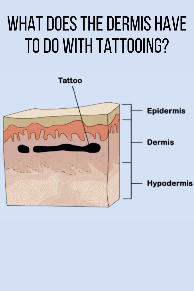 Dermis Tattoo Where Does the Ink Go? Tattoo Glee