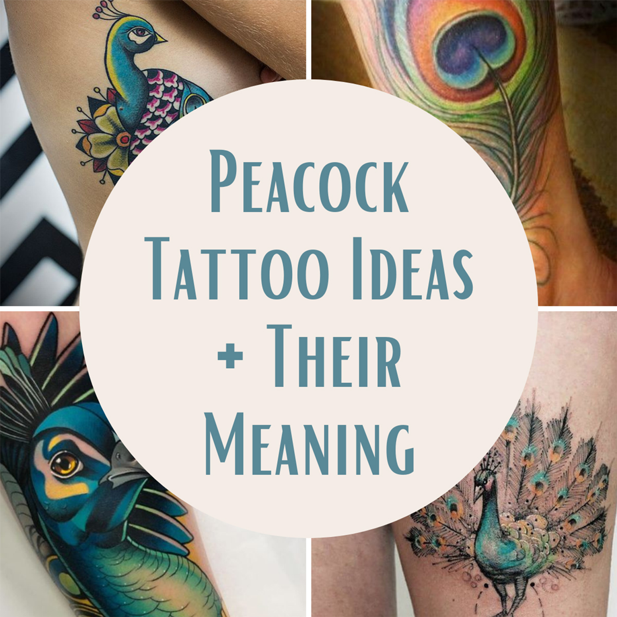47 Vibrant Peacock Tattoo Designs + Their Meaning Tattoo Glee