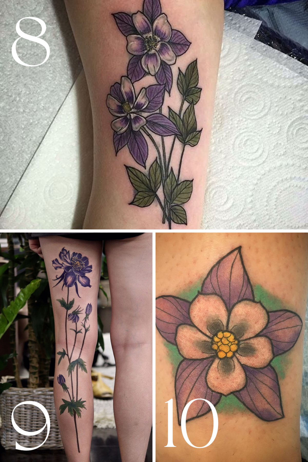 Columbine Flower Tattoo Black And White Best Flower Site