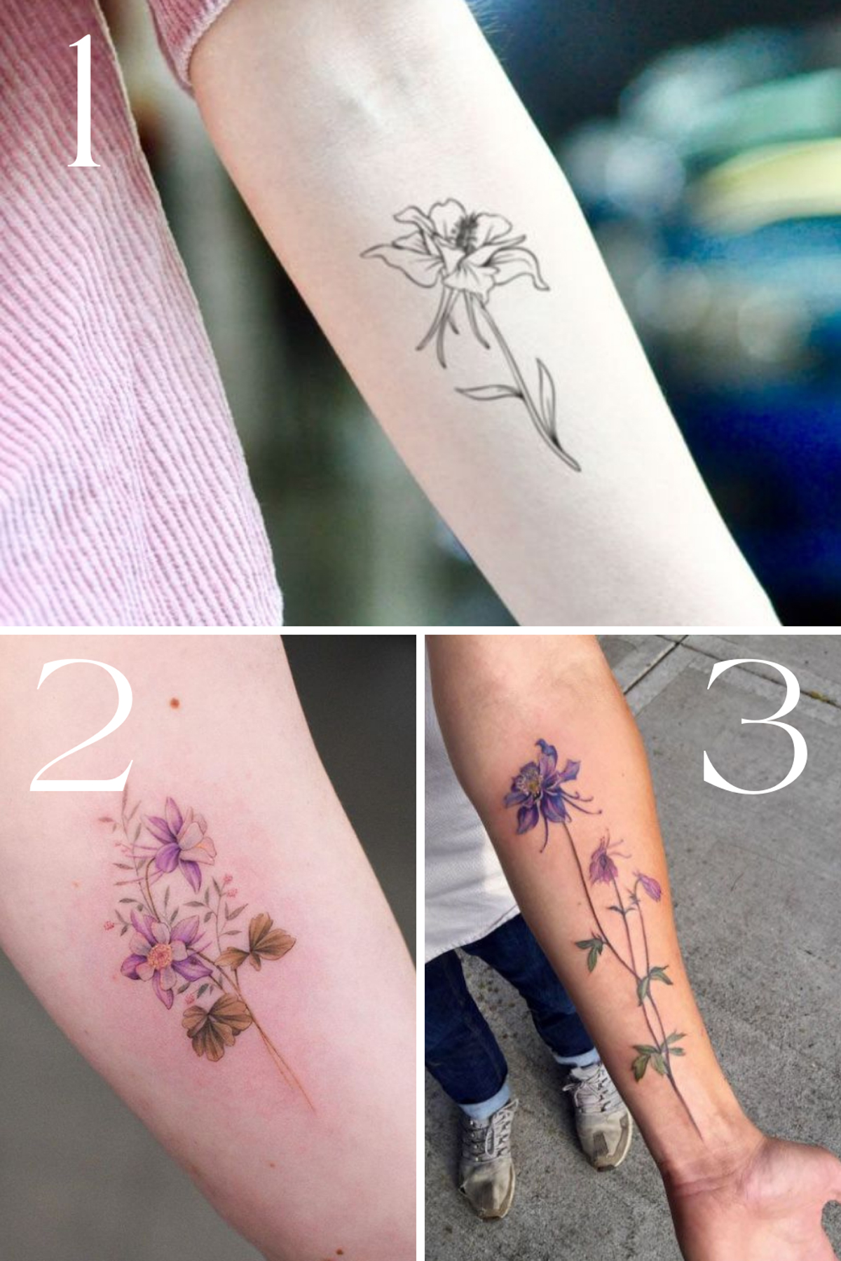 Columbine Flower Tattoo Black And White Best Flower Site