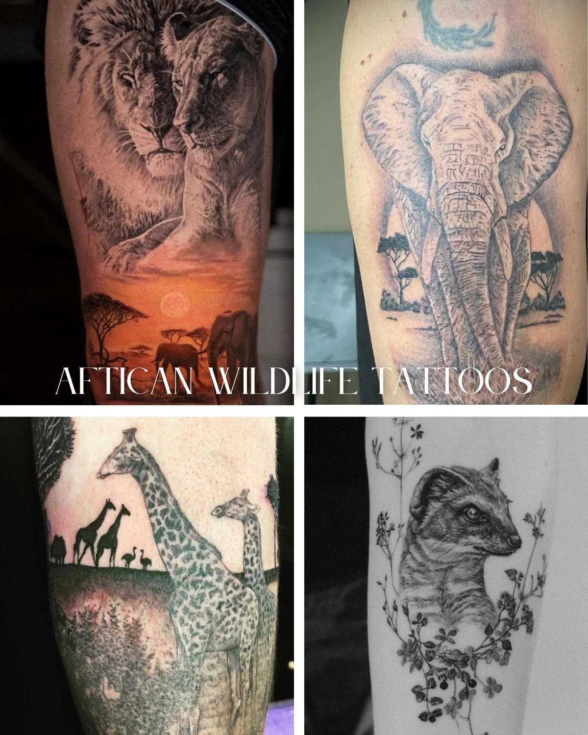 47 Wildlife Tattoo Designs You'll Want To Get Tattoo Glee