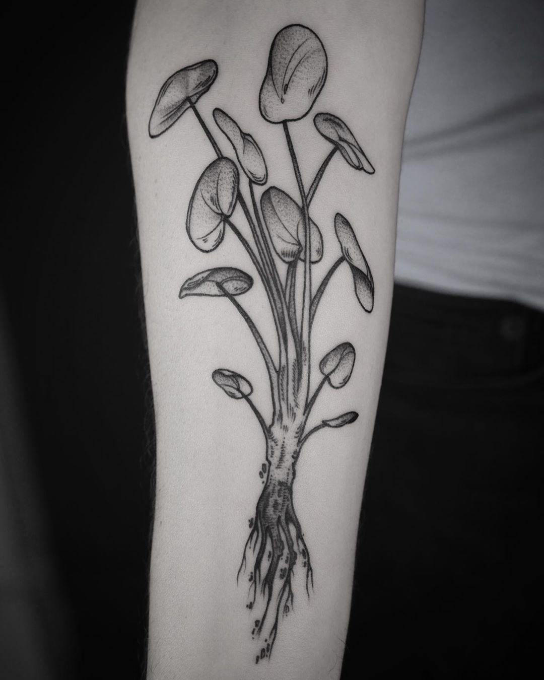 Pilea Peperomioides Tattoo Known As Chinese Money Plant By @Patcrump - Tattoogrid.net 1350_x_1080_jpg