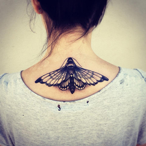 Moth Tattoos 500_x_500_jpg