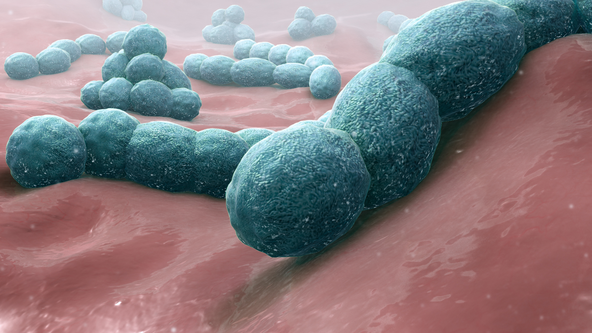 Streptococcus Pneumoniae Causes, Prevention, Treatment