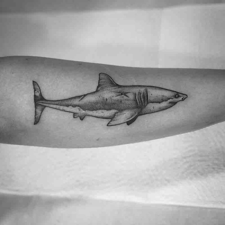 170+ Shark Tattoos Designs With Meanings (2022) - Tattoosboygirl 768_x_768_jpg