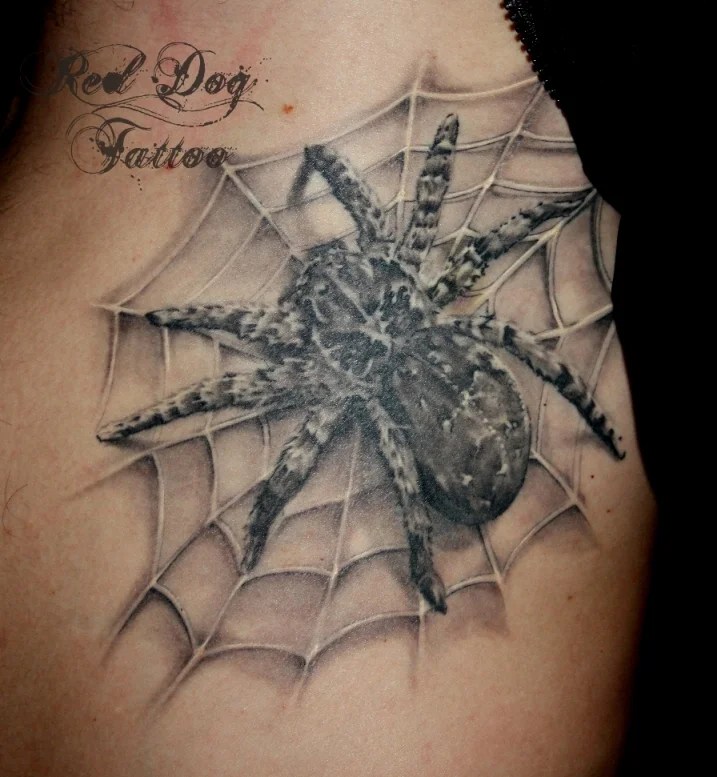 40+ Super Useful Spider Web Tattoos