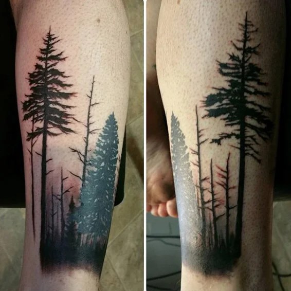 20+ Amazing Forearm Tree Tattoo Design And Ideas 566_x_566_jpg