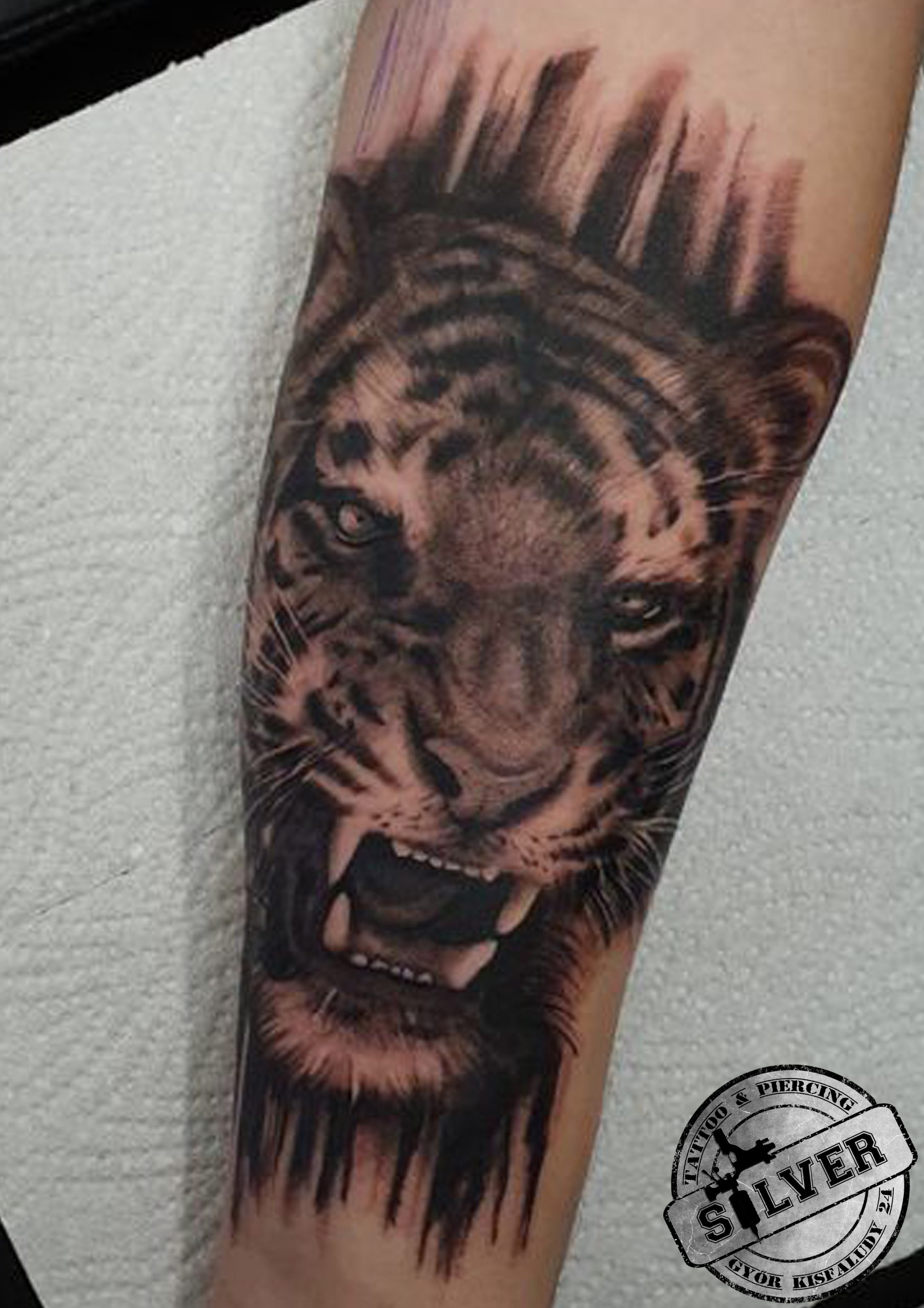 Tattoos by Balázs Silver Tattoo & Piercing Győr