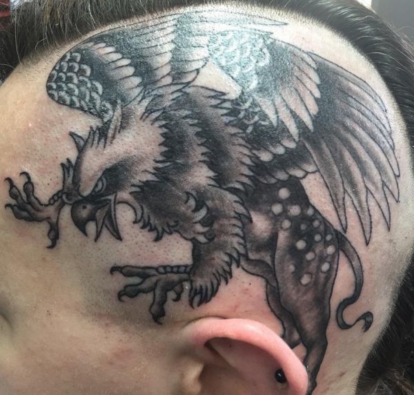 10+ Grifo Tatuagem Ideias Para Você