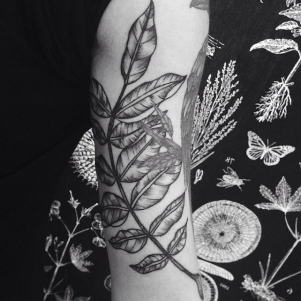 20+ Inspiración Tatuagem Ramos De Flores Desenho Superpills Árvore tatuagem seu significado e 40 grandes idéias de Design