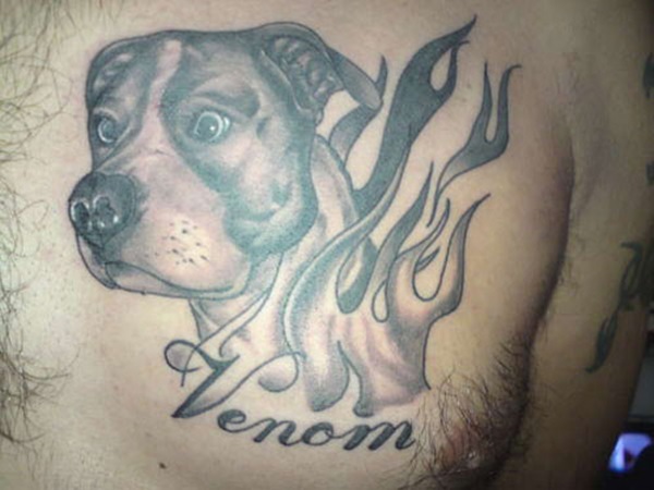 61 tatuagens de Pitbulls o significado) Tatuagens e Significados do Pit Bull » Tatuagens HD