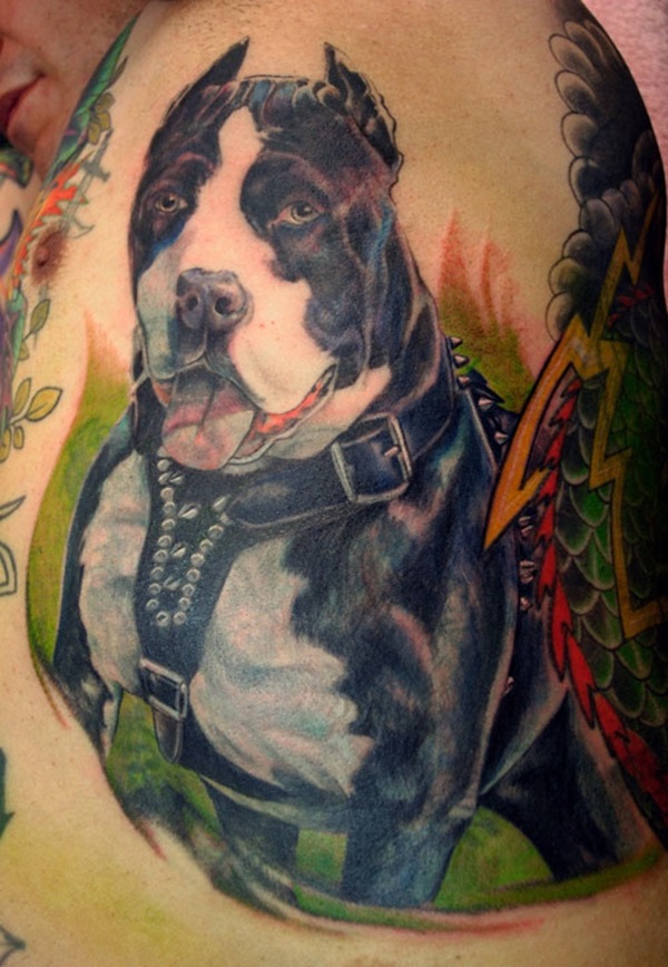61 tatuagens de Pitbulls o significado) Tatuagens e Significados do Pit Bull » Tatuagens HD