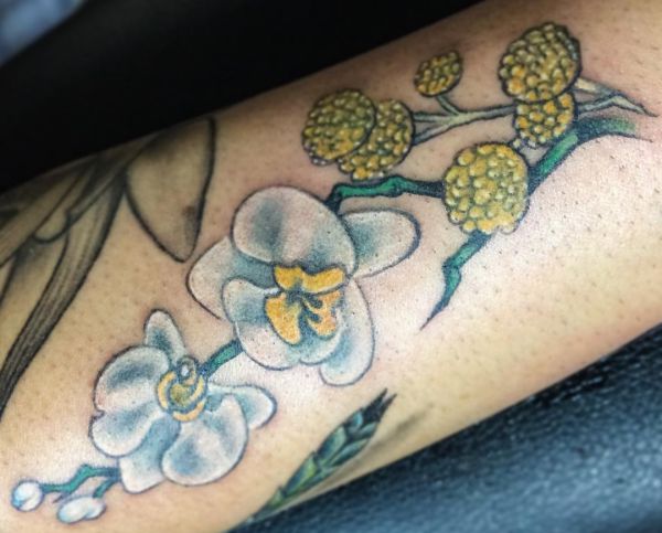 Tatuagens De Orquídeas 25 Idéias, Significados e Projetos » Tatuagens HD Tatuagens De Orquídeas 25 Idéias, Significados e Projetos » Tatuagens HD