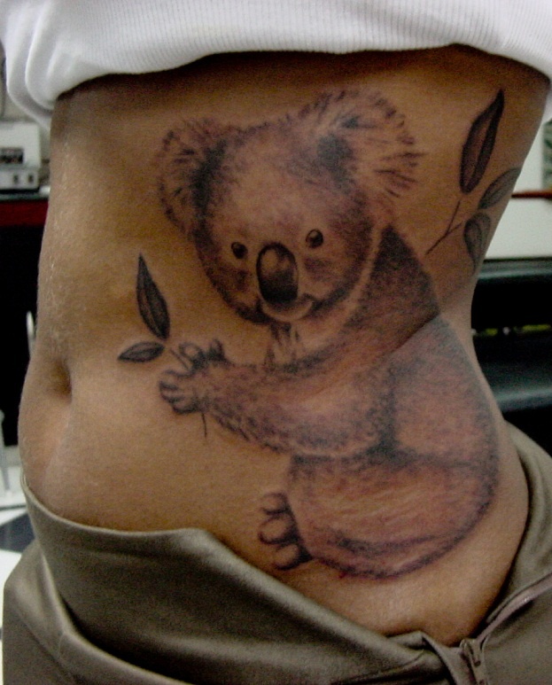 Tatuaggi Koala: Significati E Simbologia E Foto 773_x_623_jpg