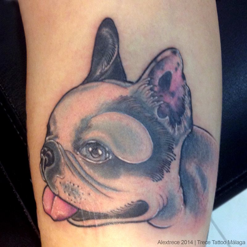 Tatuaje de una cara de perro Tatuajes en Color