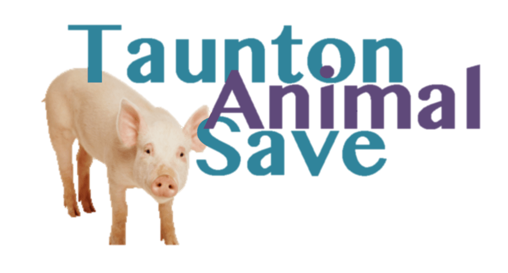 Taunton Animal Save We witness, we're compassionate and we're nonviolent