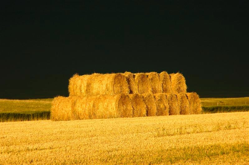 Vern's Photo Gallery