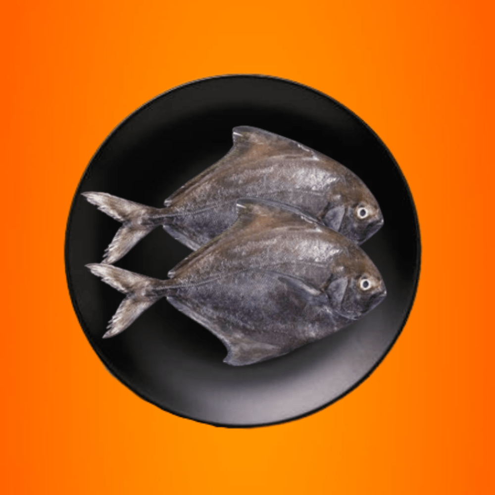 Black Pomfret (Kala Paplet) Fish Large 1 Kg Tawaqqo Fresh to Home