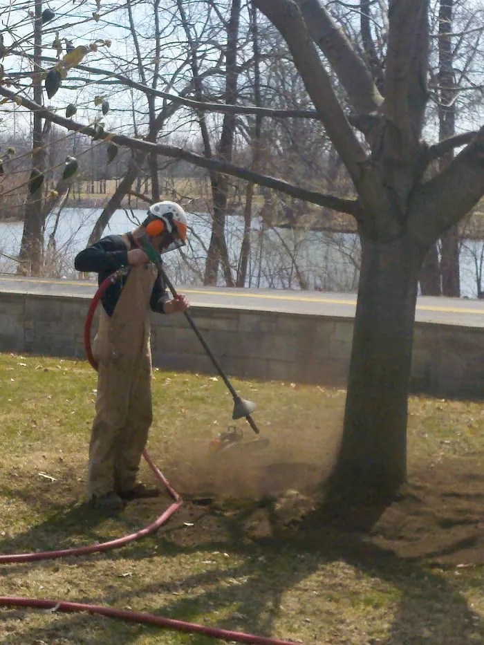 PLANT HEALTH CARE Tawa Tree and Lawn Care, Ottawa, OH