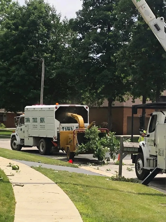 TREES Tawa Tree and Lawn Care, Ottawa, OH
