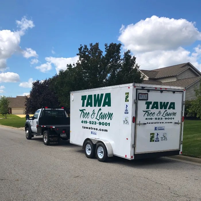 ABOUT Tawa Tree and Lawn Care, Ottawa, OH
