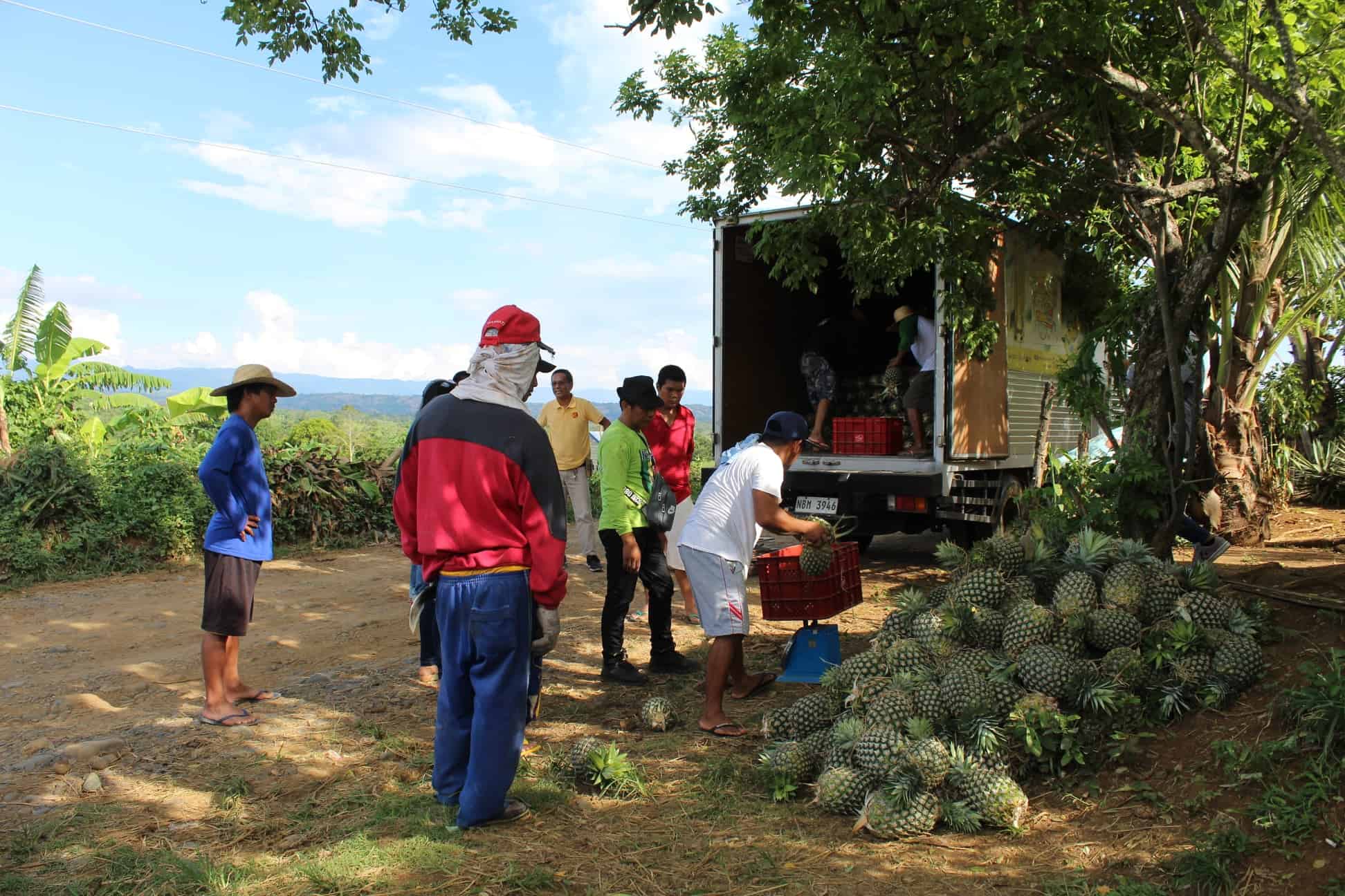 Banner Photo RURAL RISING PHILIPPINES — Tawid News Magazine