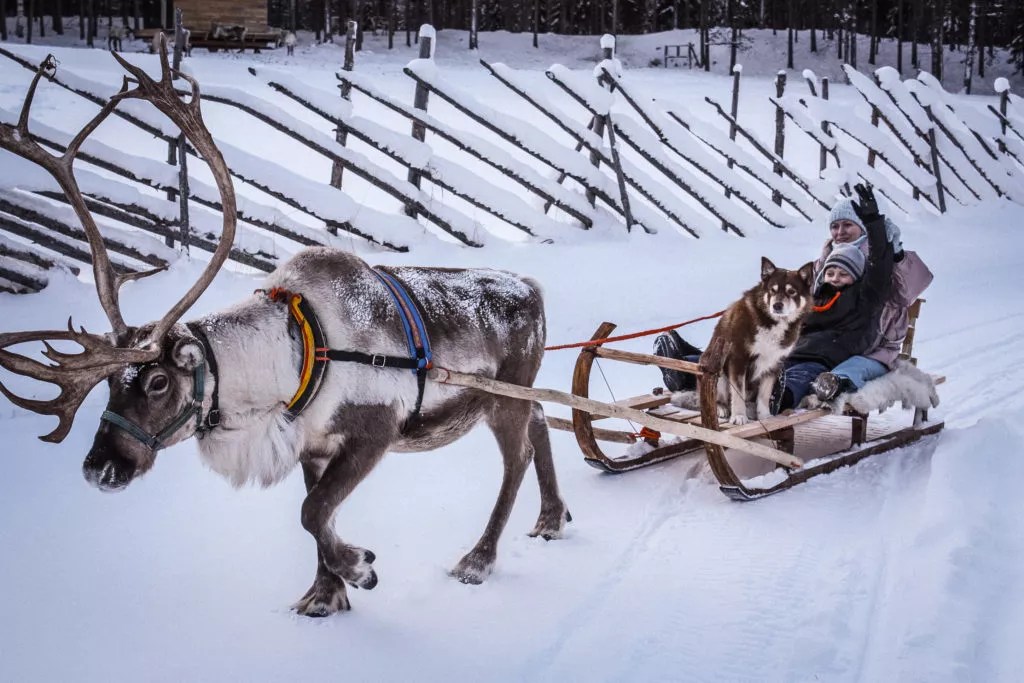 Visit to reindeer farm & selfride sleigh Taxari Travel Agency Lapland